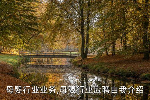 应聘母婴行业业务,母婴行业应聘自我介绍