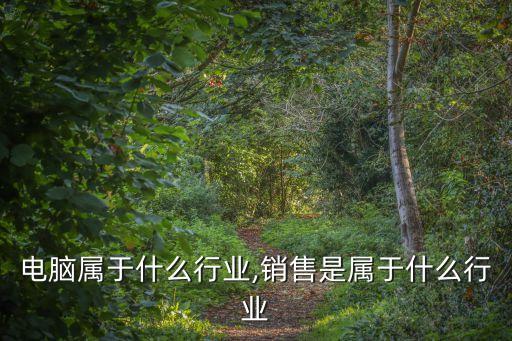 销售电脑属于什么行业,销售是属于什么行业