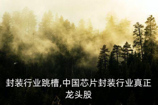 芯片封装行业跳槽,中国芯片封装行业真正龙头股