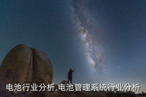 三元电池行业分析,电池管理系统行业分析