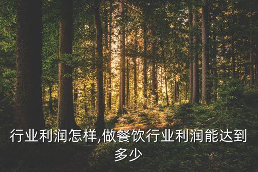 餐饮行业利润怎样,做餐饮行业利润能达到多少
