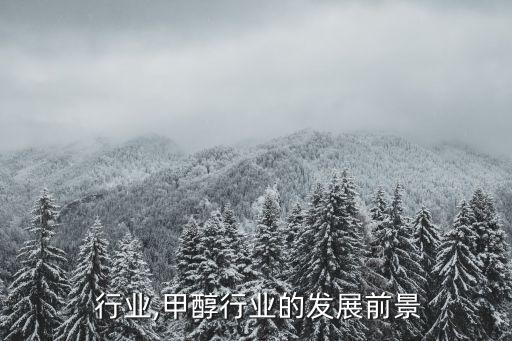 甲醇 行业,甲醇行业的发展前景