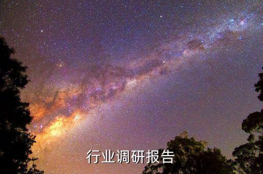 汽车行业调研报告