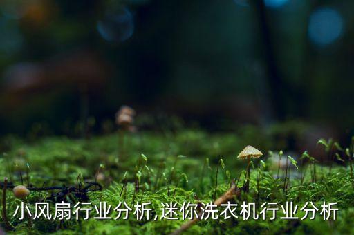 迷你小风扇行业分析,迷你洗衣机行业分析