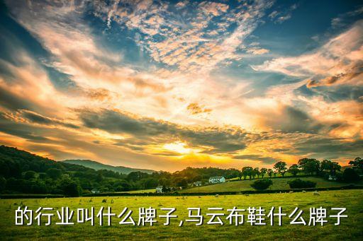 马云的行业叫什么牌子,马云布鞋什么牌子