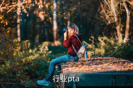 咨询行业pta