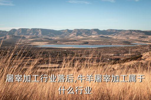 当前屠宰加工行业落后,牛羊屠宰加工属于什么行业