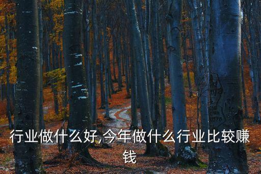 现在行业做什么好,今年做什么行业比较赚钱