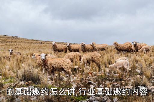 行业的基础邀约怎么讲,行业基础邀约内容