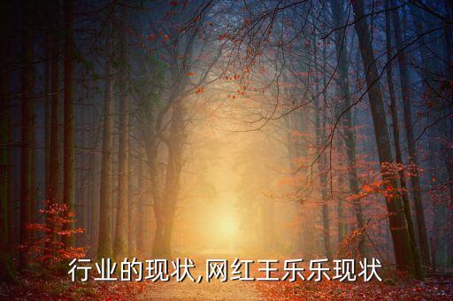 网红行业的现状,网红王乐乐现状