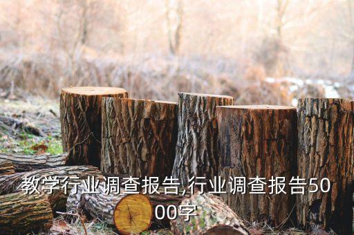体育教学行业调查报告,行业调查报告5000字