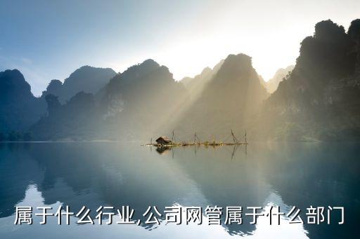 网管属于什么行业,公司网管属于什么部门
