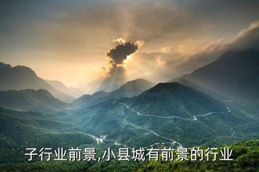 高分子行业前景,小县城有前景的行业