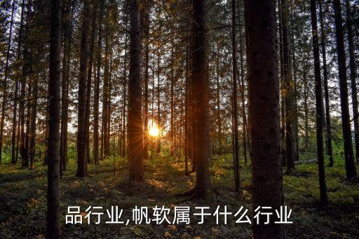 软制品行业,帆软属于什么行业