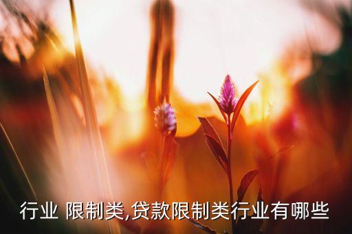 钢贸行业 限制类,贷款限制类行业有哪些