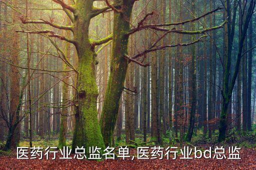 深圳医药行业总监名单,医药行业bd总监