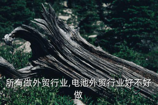 扬州所有做外贸行业,电池外贸行业好不好做