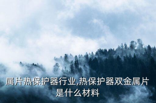 双金属片热保护器行业,热保护器双金属片是什么材料