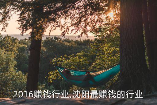 沈阳2016赚钱行业,沈阳最赚钱的行业