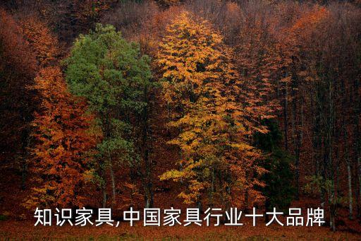 行业知识家具,中国家具行业十大品牌