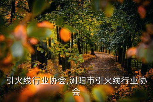 浏阳引火线行业协会,浏阳市引火线行业协会