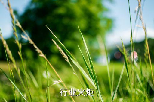 化工行业火炬