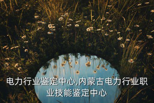 江苏电力行业鉴定中心,内蒙古电力行业职业技能鉴定中心