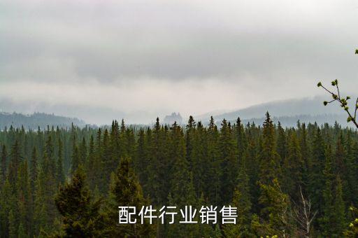 汽车配件行业销售