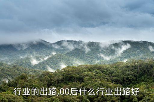 加工行业的出路,00后什么行业出路好