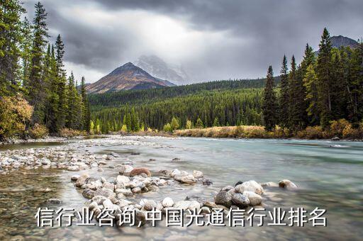 光通信行业咨询,中国光通信行业排名
