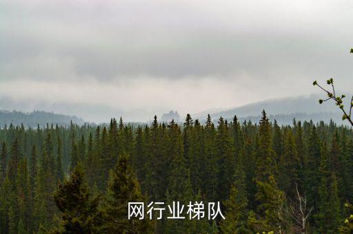 互联网行业梯队