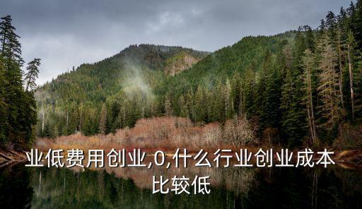 好行业低费用创业,0,什么行业创业成本比较低