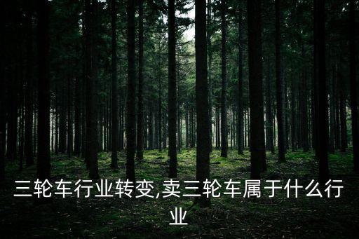 电动三轮车行业转变,卖三轮车属于什么行业