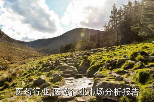 山西医药行业,医药行业市场分析报告