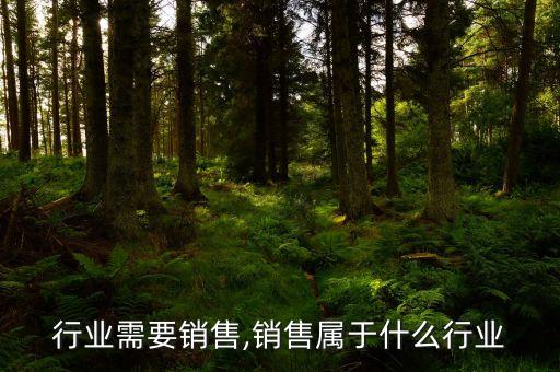 什么行业需要销售,销售属于什么行业