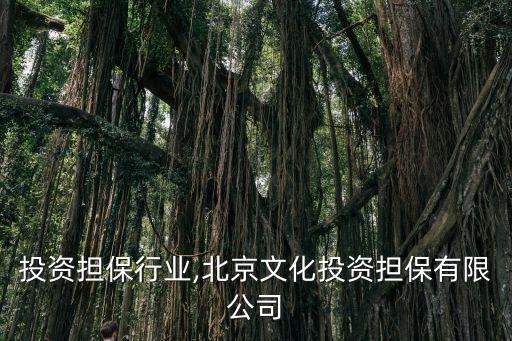 北京投资担保行业,北京文化投资担保有限公司