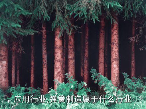 弹簧应用行业,弹簧制造属于什么行业