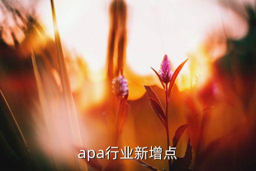 6-apa行业新增点