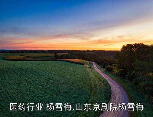 山东医药行业 杨雪梅,山东京剧院杨雪梅