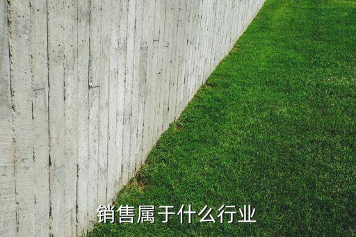 家电销售属于什么行业