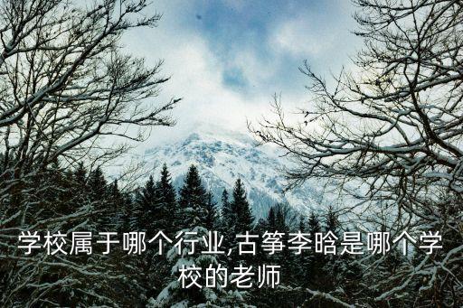 古筝学校属于哪个行业,古筝李晗是哪个学校的老师