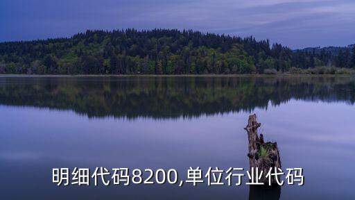 行业明细代码8200,单位行业代码
