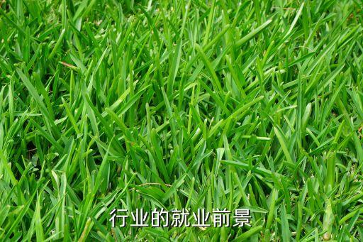 机械行业的就业前景