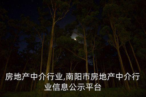 淮滨房地产中介行业,南阳市房地产中介行业信息公示平台
