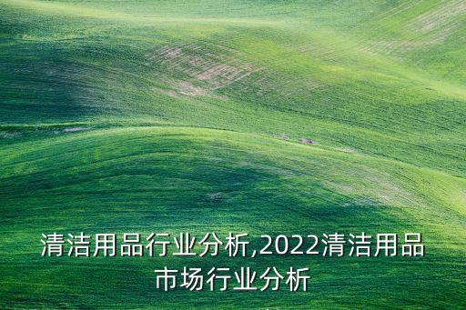 居家清洁用品行业分析,2022清洁用品市场行业分析