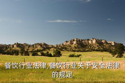 美国餐饮行业法律,餐饮行业关于安全法律的规定