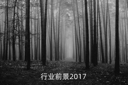 建筑行业前景2017