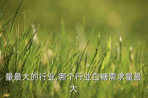 需求量最大的行业,哪个行业白糖需求量最大