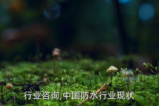 防水行业咨询,中国防水行业现状