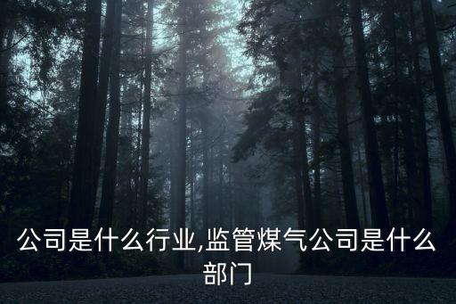 煤气公司是什么行业,监管煤气公司是什么部门